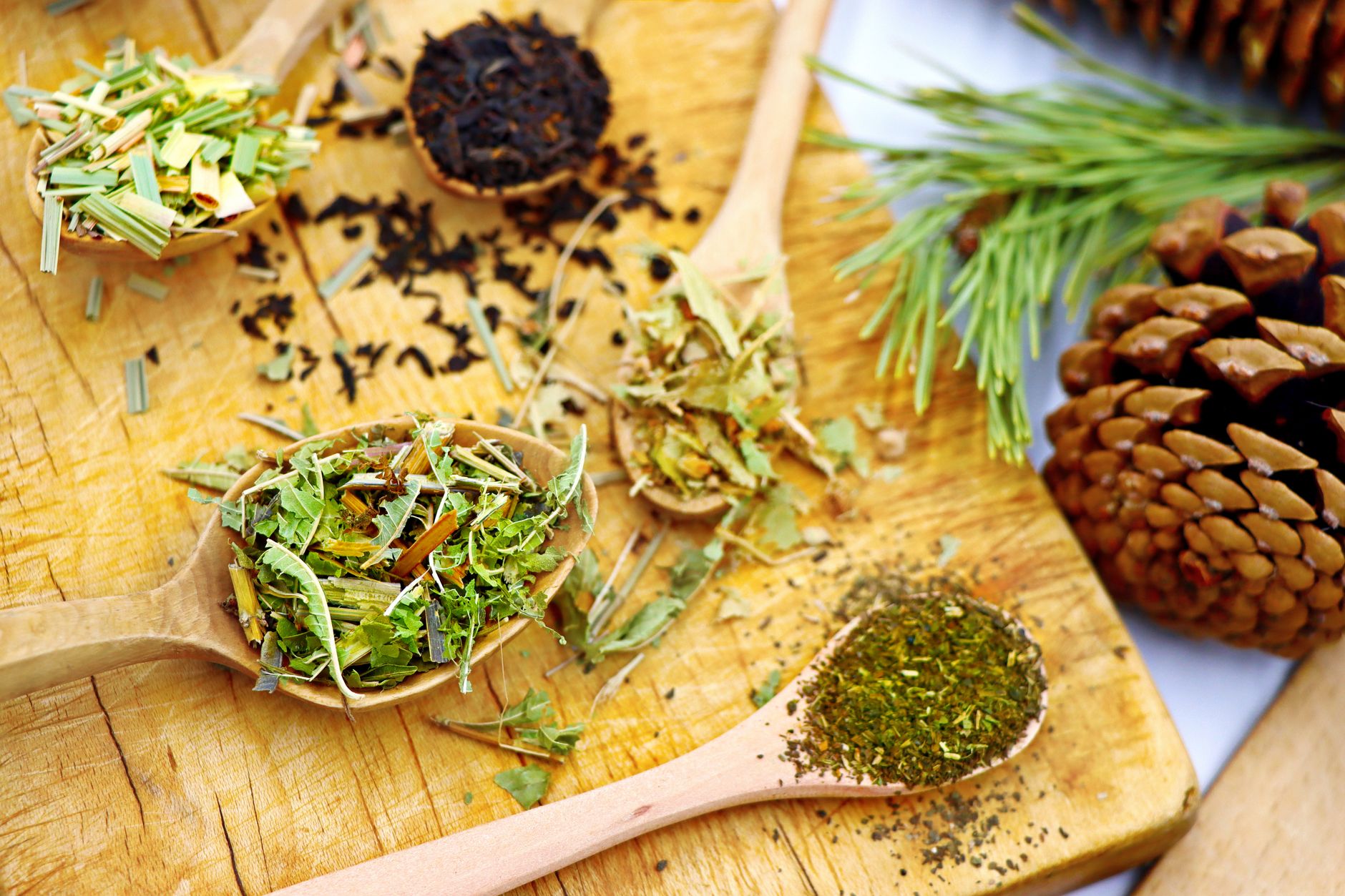 Herbes séchées et feuilles pour infusion maison